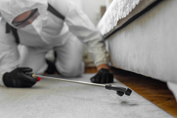 Professional Pest Control technician working in Wayne County County, UT